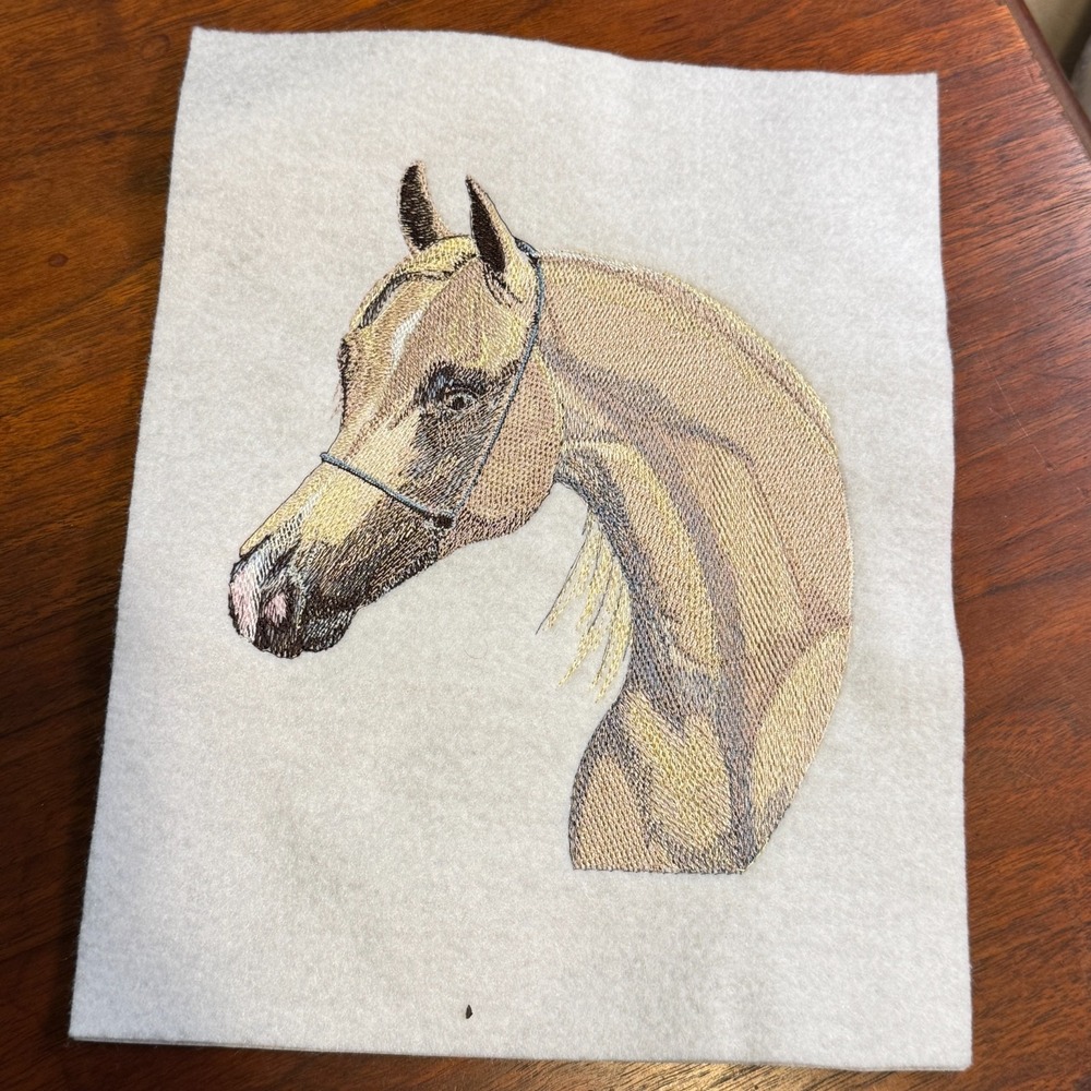 Vintage Arabian Horse Head Handmade Embroidery Western Equestrian Sew On